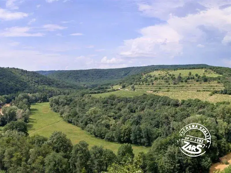 Vinice Šobes